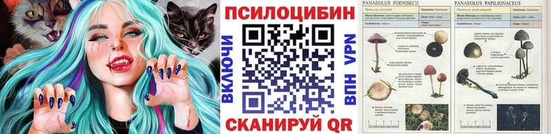 где купить   Калачинск  Галлюциногенные грибы мицелий 