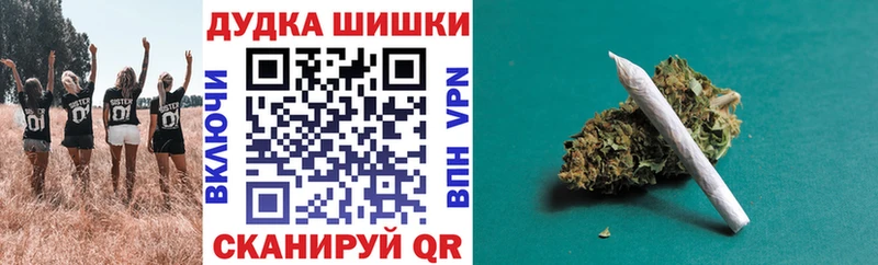 Бошки Шишки сатива  Калачинск 